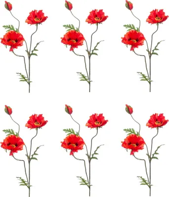 Produktbild von 6er Set künstliche Mohnblume mit 2 Blüten orange H. 90cm Emerald Kunstblumen