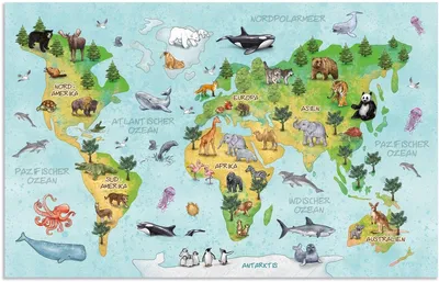 Zdjęcie produktu dla HERMA World map, Wielobarwny, Karton, 350 mm, 550 mm, 1 szt.