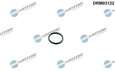 Produktbild von DR.MOTOR AUTOMOTIVE Ölwannendichtung für VOLVO V70 II (285) DRM03122
