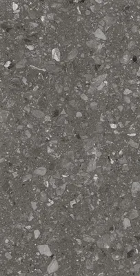 Produktbild von Bodenfliese Feinsteinzeug Terra 60 x 120 cm anthrazit