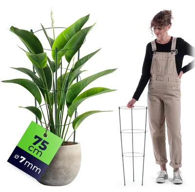 Zdjęcie produktu dla Metalowa podpórka do roślin KADAX, 75 cm