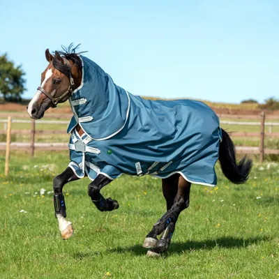 Produktbild von Horseware AmEco Bravo 12 Plus Turnout 100g - Teal/Grey, 125