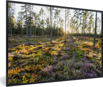 Produktbild von MuchoWow® Gerahmtes Poster Bäume in einer Heidelandschaft 90x60 cm - Poster mit Schwarzem Bilderrahmen Wandposter Rahmen Foto Bilder - Fotorahmen - Foto-Plakat