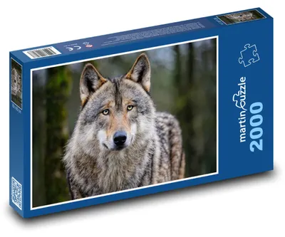 Obrázek produktu pro Puzzle 2000 Šedý vlk v divočině - martinpuzzle