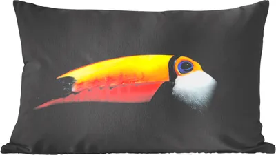 Produktbild von MuchoWow® Zierkissen Sofakissen Wohnzimmer Dekokissen 60x40 cm Tukan - Vogel - Schnabel - Kopfkissen - Polster mit Foto