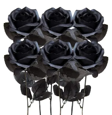 6 künstliche Seidenrosen, schwarz, 40 cm, für DIY & Deko