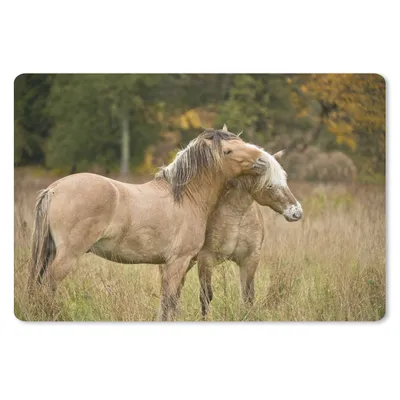 Produktbild von MuchoWow® Schreibtischunterlage Zwei kuschelnde Fjordpferde im Herbst 60x40 cm - XXL Mauspad - Großes Mauspad
