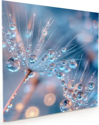 Produktbild von Küchenrückwand Spritzschutz Glas mit Motiv Wassertropfen Kunst 40 x 40 cm