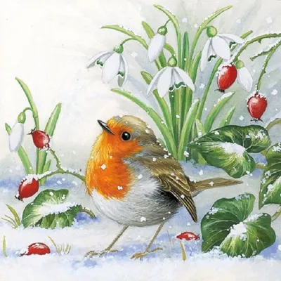 Produktbild von 20 Servietten Robin - Süßer Vogel im Schnee 33x33cm