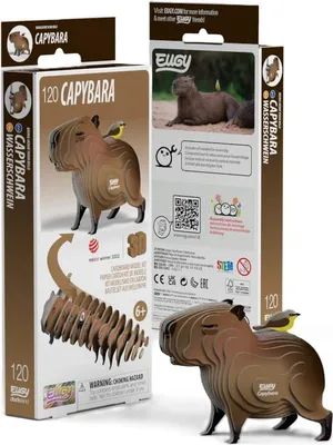 Produktbild von Eugy 3D Puzzle - Capybara Bastelset aus Karton Spielzeug