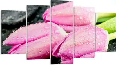 Produktbild von Bild auf Leinwand - Leinwandbild - Tulpen Tau Steine Pflanze - 160x85cm - Wand Bild - Wanddeko - Leinwanddruck - Bilder - Kunstdruck - Wanddekoration - Leinwand bilder - Wandkunst - EA160x85-2485
