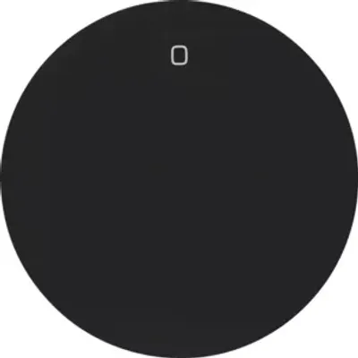 Produktbild von Berker 16222045, Wippe, Schwarz, Thermoplast, R.1/R.3/R.8, IP44