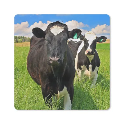 Produktbild von MuchoWow® Mauspad Mousepad Kuh - Gras - Natur - Tiere 20x20 cm - Mousepads - Maus Mat - Pad - Mausunterlage - Desk Mat - Bureauartikeln
