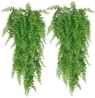 Produktbild von Kunststofhangende Planten Varengroen 2 stuks