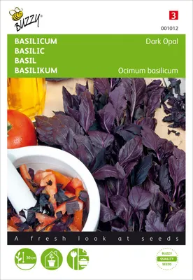 Produktbild von Basilikum Rotblättrig Dark Opal | Basilikumsamen von Buzzy Seeds