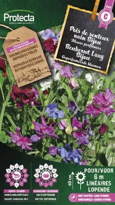 Productafbeelding van Protecta Bloemen zaden: Reukerwt Laag Bijou | Lathyrus odoratus