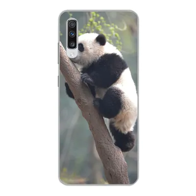 Produktbild von MuchoWow® Handyhülle Schutzhülle Hülle für Samsung Galaxy A70 Panda - Tier - Baum Silikon Softcase Handy Hülle - Schutzhaube