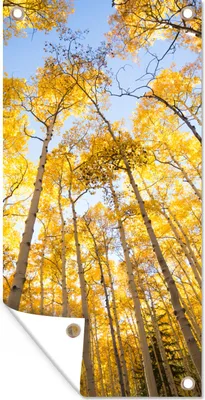 Produktbild von MuchoWow® 80x160 cm Outdoor-Poster Gartendeko Sichtschutz Garten Poster für den Garten  Herbst - Bäume - Wald