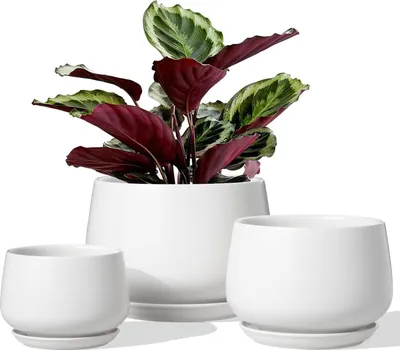 Produktbild von Keramische Pflanzenübertöpfe - Für Innen - Set von 3 - Weiß - 10, 13 und 16 cm