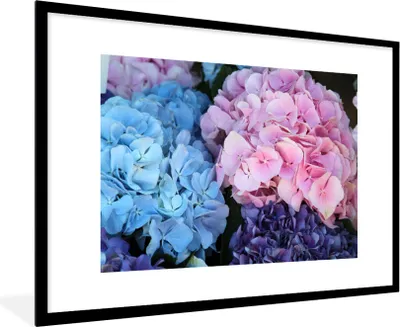 Produktbild von MuchoWow® Gerahmtes Poster Blumen - Strauch - Hortensie - Botanisch 90x60 cm - Poster mit Schwarzem Bilderrahmen Wandposter Rahmen Foto Bilder - Wanddekoration - Fotos