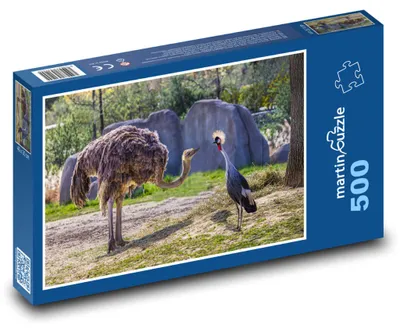 Zdjęcie produktu dla martinpuzzle - Puzzle 500 - Strus w zoo
