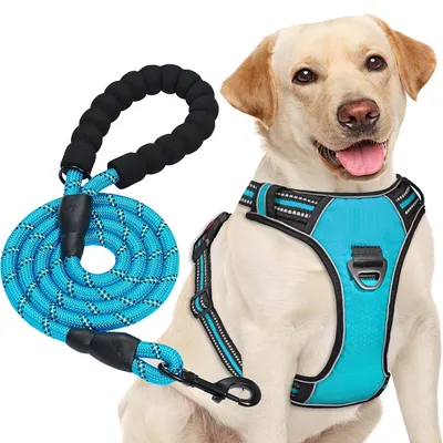 Image de Harnais anti-traction Solidchoice pour chiens, avec laisse