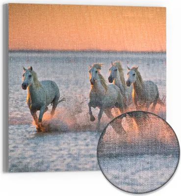 Produktbild von DEQORI Hybrid Leinwand Bild 30x30 cm 'Abendliche Freiheit' Wandbild Glas flach modern