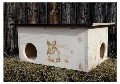 Produktbild von XXXL Premium Hasen und Kaninchenhaus * kein Bausatz * Hasen Spielhaus Haus 20mm Vollholz Naturbelassen 62cm x 40cm x 29cm Herstellung in Niederbayern