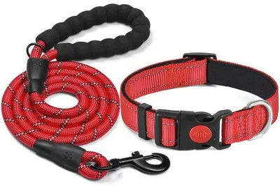 Productafbeelding van Ibenzoa® Reflecterende hondenhalsband van nylon met ademende neopreenvoering, verstelbaar, met een stevige snelsluiting en metalen ringen, wasbaar