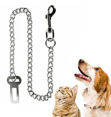 Produktbild von Hunde Sicherheitsgurt 60cm Edelstahlkette Kausicher Kleine Schnalle
