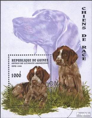 Produktbild von Briefmarken Guinea 1996 Mi Block503 (kompl.Ausg.) gestempelt Hunde