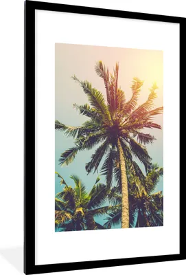 Produktbild von MuchoWow® Gerahmtes Poster Palme - Sommer - Tropisch - Sonne 60x90 cm - Poster mit Schwarzem Bilderrahmen Wandposter Rahmen Foto Bilder - Dekoration - Wandposter Wohnzimmer - Hochwertig