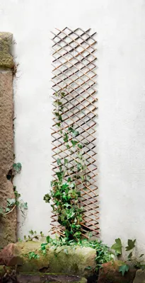 Produktbild von FRANK FLECHTWAREN Rank-Hilfe, variabel 6 cm bis max. 200 cm, Naturmaterial, vielseitig anwendbar