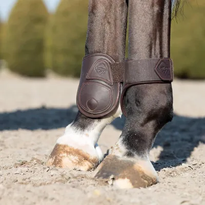 Image de Bottes de protection pour les tendons d'orson LeMieux Capella, couleur : marron, taille : poney