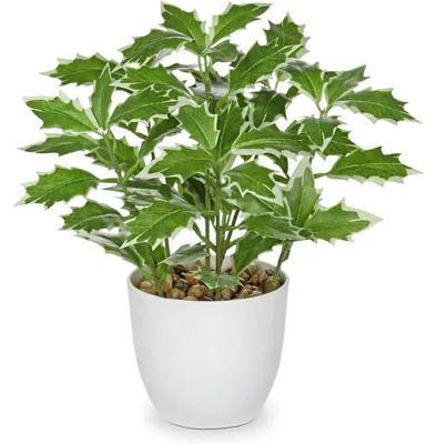 Produktbild von Kunstpflanze Ficus im Topf 25 cm Grün & Weiß