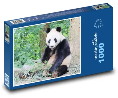 Zdjęcie produktu dla martinpuzzle - Puzzle 1000 elementów - Miś Panda