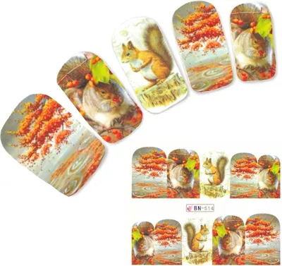 Produktbild von Tattoo Nail Herbst Eichhörnchen Bunte Blätter Aufkleber Nagel Sticker