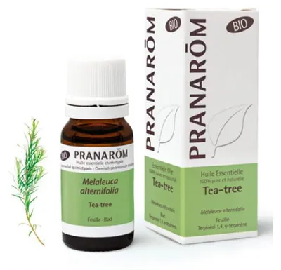 OLEJEK Z DRZEWA HERBACIANEGO BIO 10ML PRANARÔM