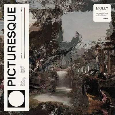 Obrázok produktu pre Molly: Picturesque -   - (CD / P)