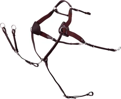 Image de Premiere 5 Elastic Points Collier de chasse Noir Full Noir Full