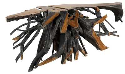 Produktbild von MASSIVMOEBEL24.DE Konsolentisch Teak Wurzel verzweigt 250x50x80 natur lackiert UNIKA #180