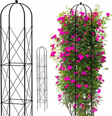 Image de Jardin Terrasse Pergola Métal Support Pour Vigne Fleur Obelisk 151 Cm