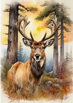 Obrázok produktu pre NORIMPEX Diamantové maľovanie Jeleň 30x40cm