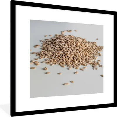 Produktbild von MuchoWow® Gerahmtes Poster Haufen von Sonnenblumenkernen auf weißem Hintergrund 40x40 cm - Poster mit Schwarzem Bilderrahmen Wandposter Rahmen Foto Bilder - Poster - Plakat im Rahmen