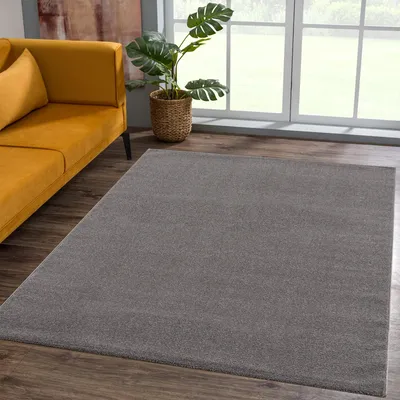 Image de Tapis à poils courts, gris, 120x170 cm, unie, pour salon