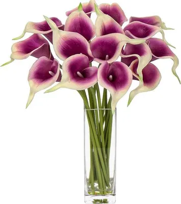 Produktbild von Famanu Kunstblumen Calla-Lilie mit Glasvase - Lila, 16 Stück