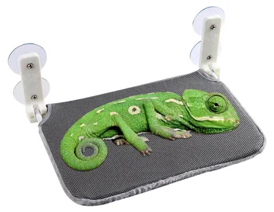 Produktbild von Eidechsen-Hängematte für Fenster, Reptilien-Fensterstange