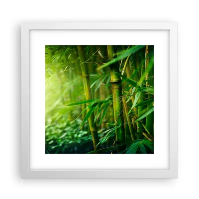Produktbild von Gerahmtes Poster - Weißer Rahmen - Bambus Pflanze - 30x30 cm - Wand Bild - Wanddeko - Wandbilder - Kunstposter - Wandposter - Bilderrahmen - Bilder - Kunstdruck - Wandbild - P2WAC30x30-3558