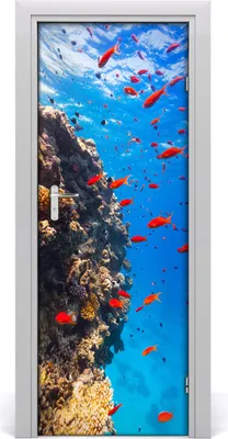 Produktbild von Tulup Türaufkleber 75x205 cm Dekorative Aufkleber Selbstklebend Wasserdichte Tapete Abnehmbar Schlafzimmer Wohnzimmer Wohnkultur - Korallenriff