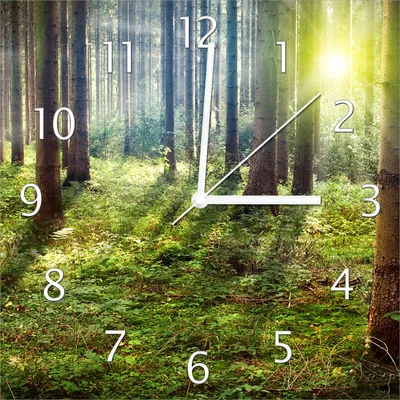 Produktbild von Wallario Design Wanduhr Sonnenuntergang im Wald zwischen den Bäumen aus Echtglas, Größe 30 x 30 cm